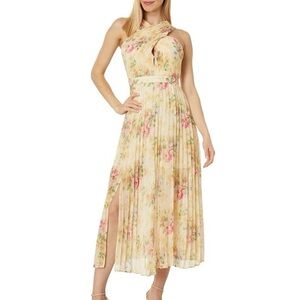 Floral Pleated Maxi Dress